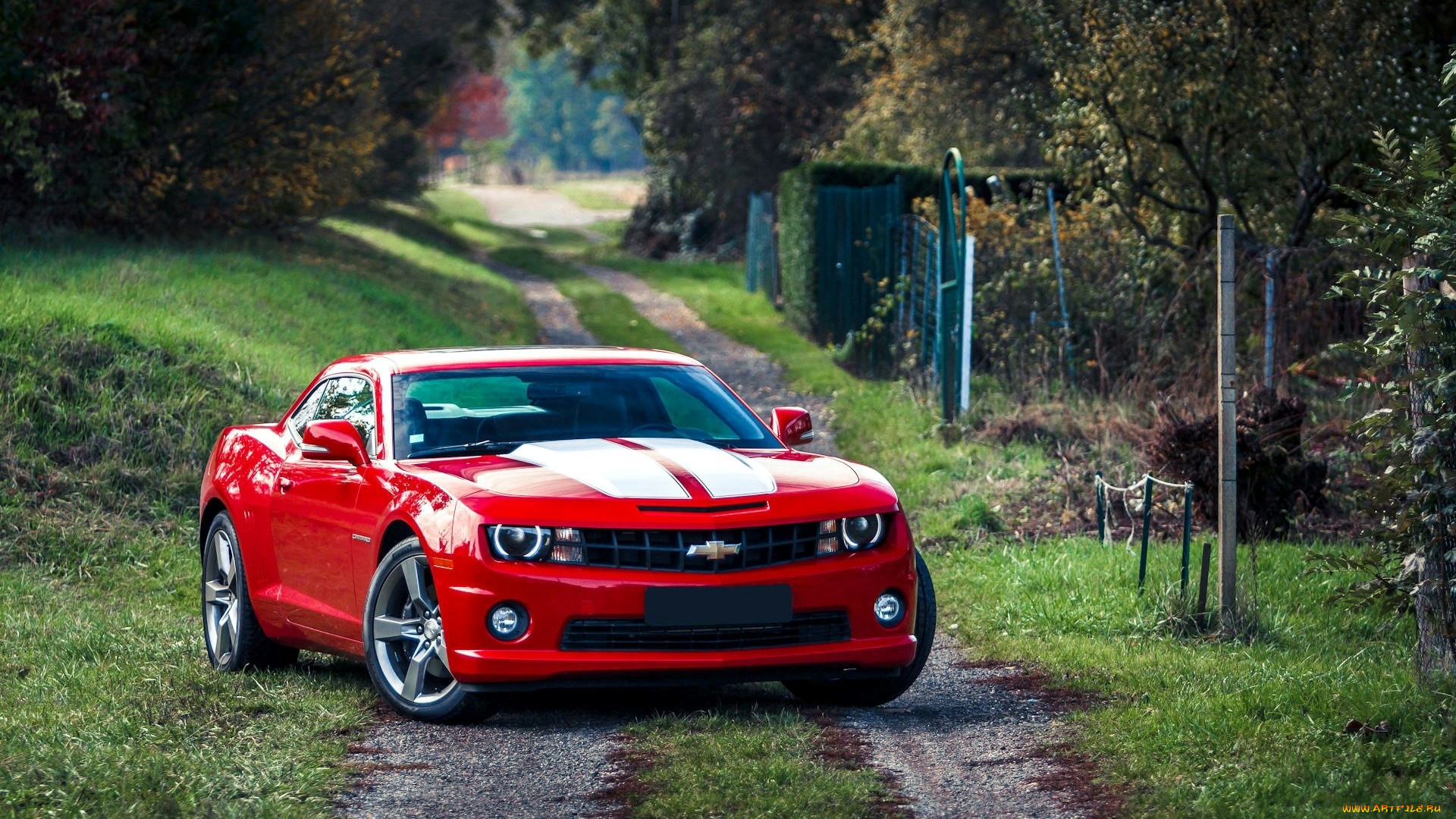 chevrolet, camaro, , gm, division, 